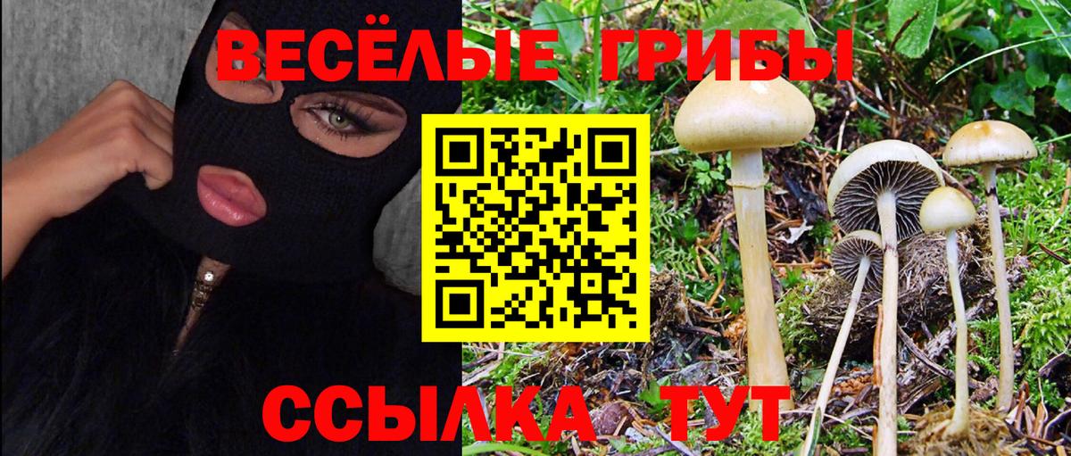 Псилоцибиновые грибы прущие грибы Пугачёв