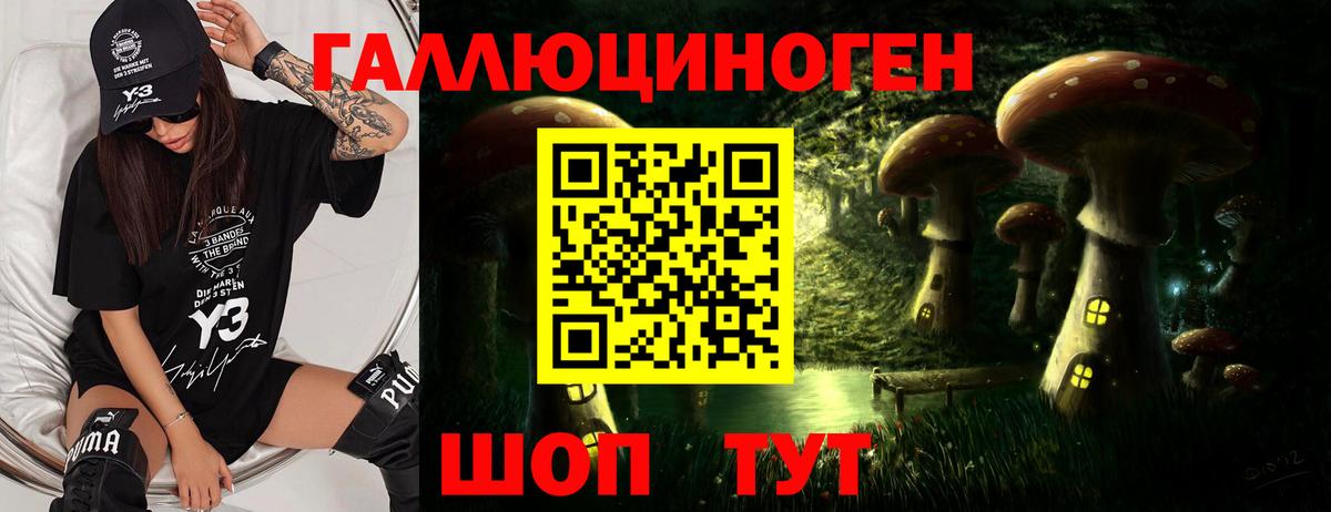Галлюциногенные грибы MAGIC MUSHROOMS  Вход с VPN  Псилоцибиновые грибы Cubensis  Пугачёв 