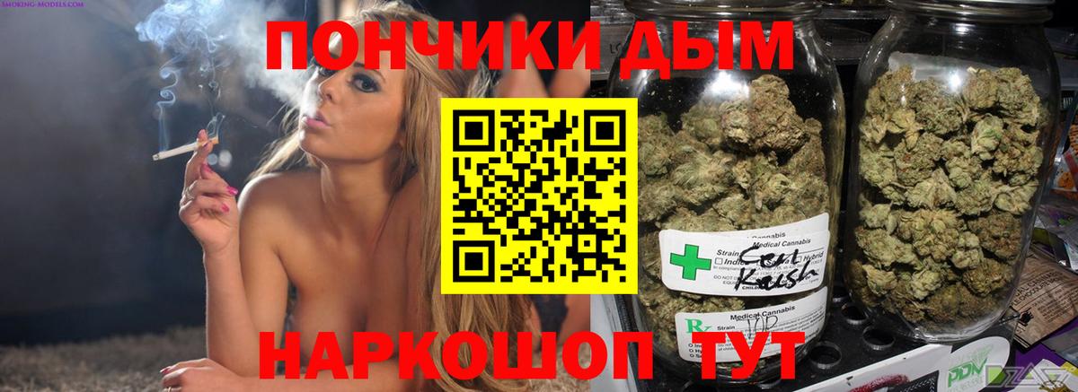 Бошки марихуана планчик  Вход с VPN  Канабис марихуана  Пугачёв  Бошки марихуана план  Марихуана гибрид 